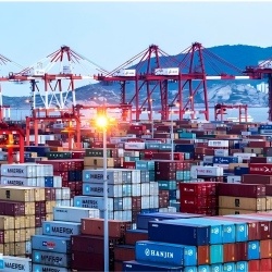 Bulk carrier cargo